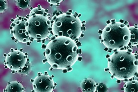 Five Things to Know About-Coronavirus