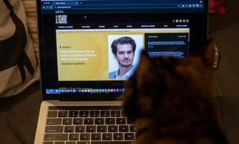 This illustration photo shows Cali the cat watching the announcement of the Golden Globes on a computer screen in Los Angeles, January 9, 2022.  Belfast and West Side Story are among the frontrunners for a drastically scaled-down 79th Golden Globes on January 9, 2022, where winners will be unveiled via Twitter from an untelevised ceremony that is being boycotted by Hollywood. (Photo by VALERIE MACON / AFP)