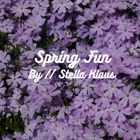 4 Things to do in the spring