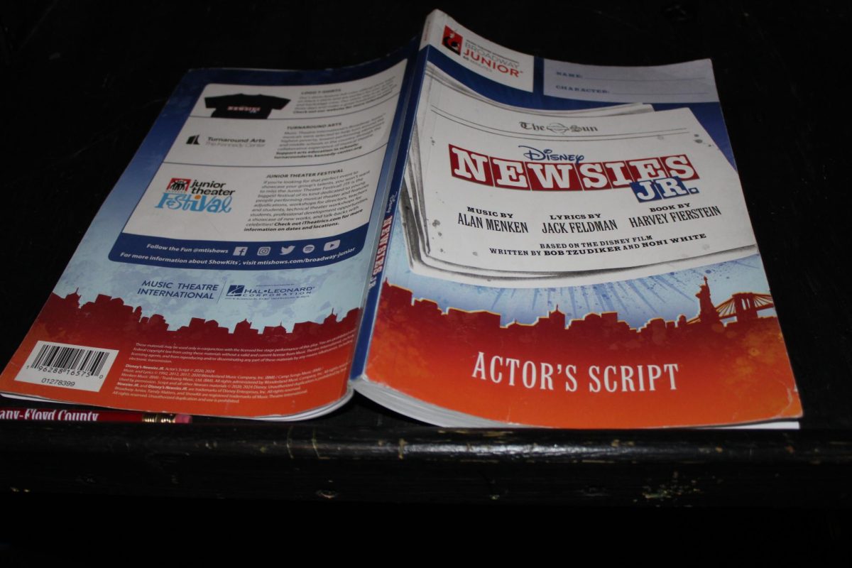 newsies8