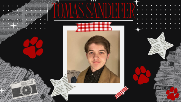 Tomas Sandefer
