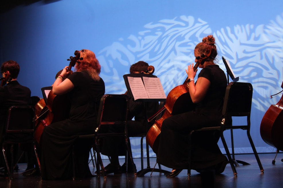 NAHS Orchestra performance